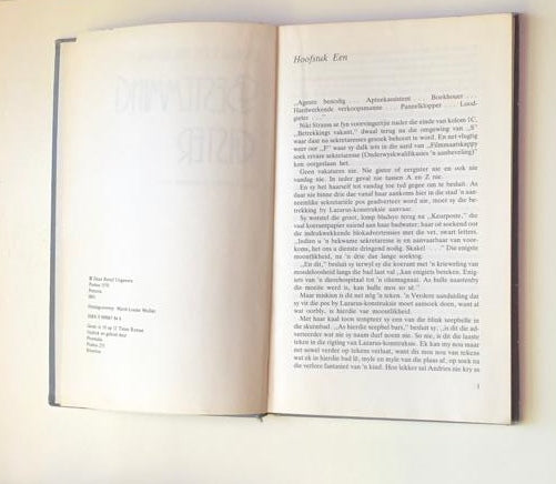 Bestemming gister - Lynette Blignaut