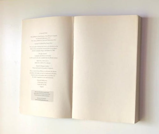 Reasons she goes to the woods - Deborah Kay Davies