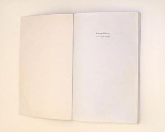 Pots and poetry and other essays - Martin Versfeld
