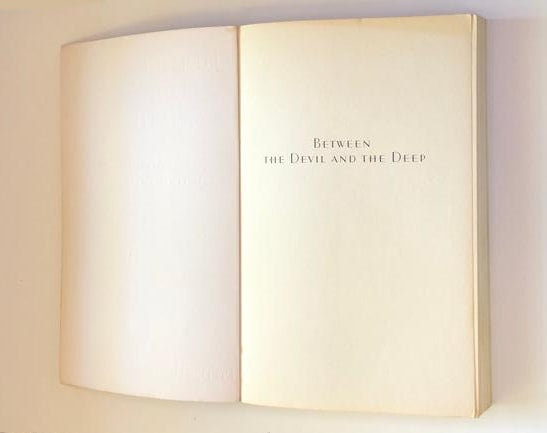 Between the devil and the deep: A memoir of acting and reacting - Pieter-Dirk Uys