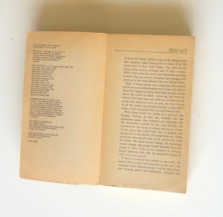A stone for Danny Fisher - Harold Robbins