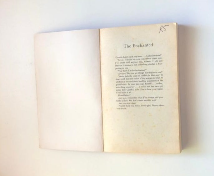 The enchanted - Roberta Murphy