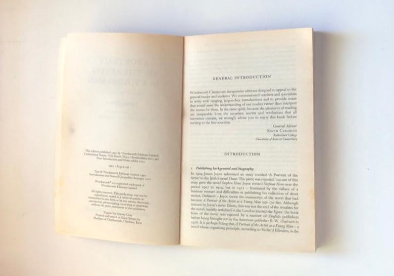 A portrait of the artist as a young man - James Joyce