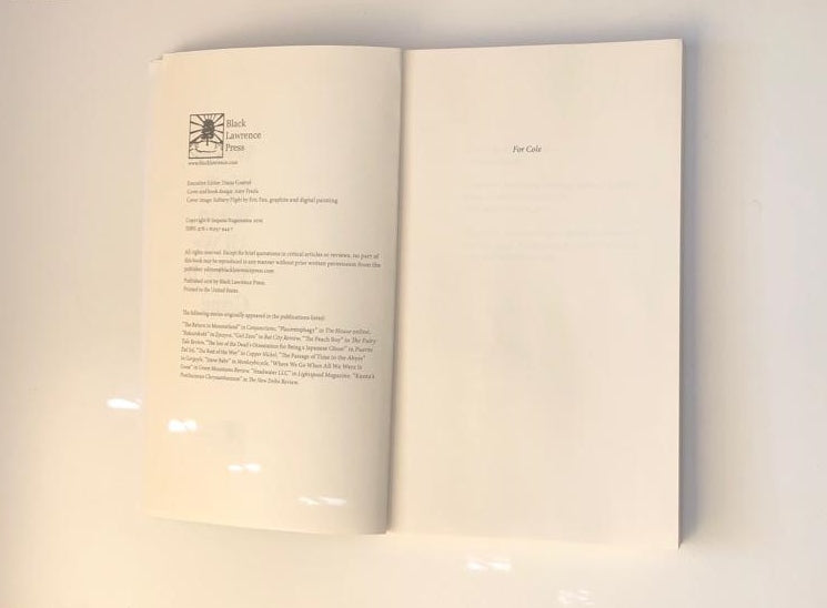 Where we go when all we were is gone - Sequoia Nagamatsu