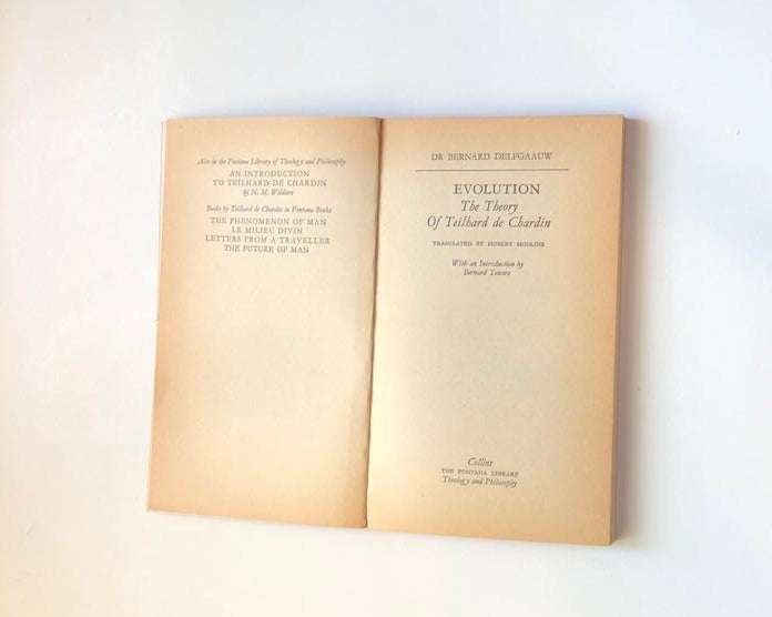 Evolution: The theory of Teilhard de Chardin - Bernard Delfgaauw