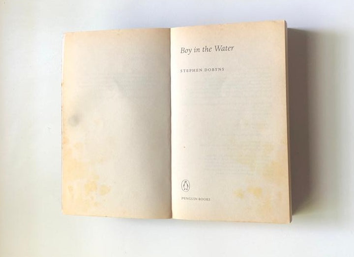 Boy in the water - Stephen Dobyns