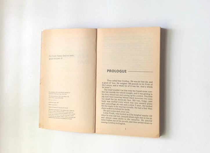 The Guardians: Vengeance Day (The Guardians #9)