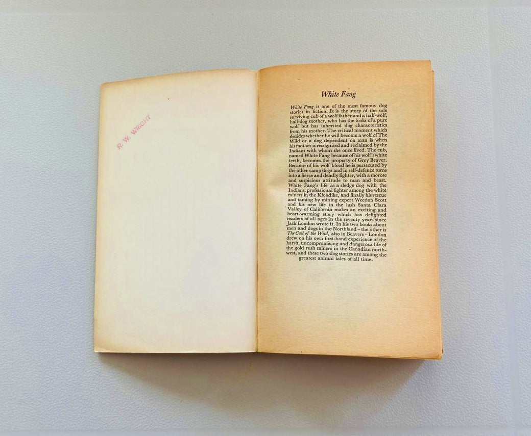 White fang - Jack London