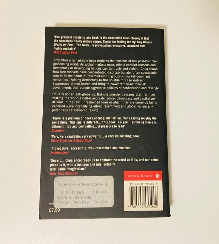 World on fire: How exporting free market democracy breeds ethnic hatred and global instability - Amy Chua