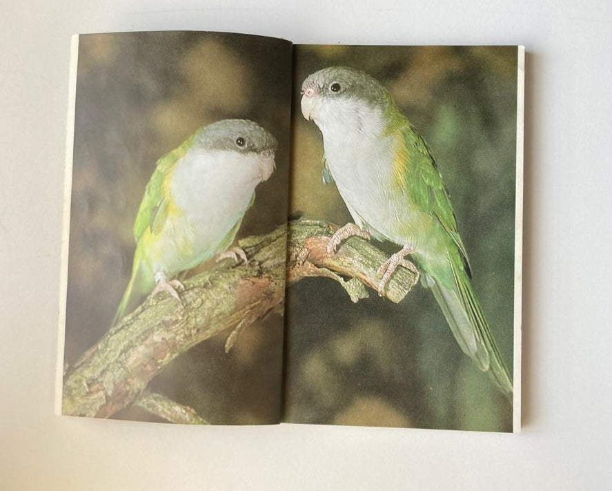 Parrots: A complete introduction - Duke of Bedford