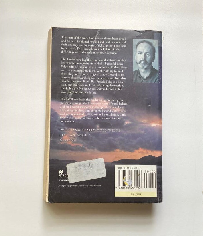 The fall of light - Niall Williams