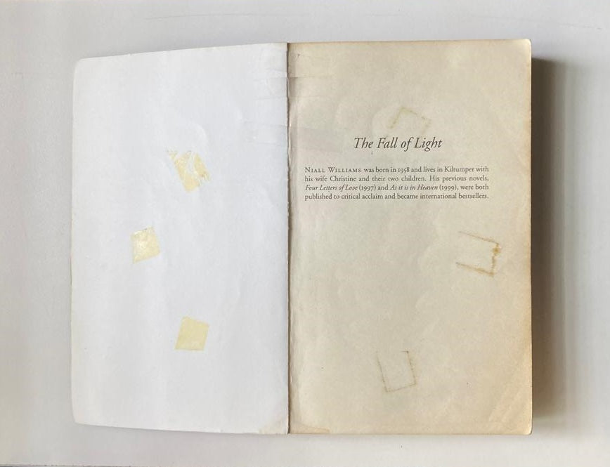 The fall of light - Niall Williams