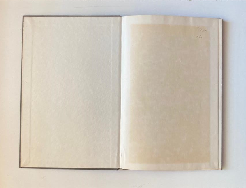 Blom en baaierd - D.J. Opperman