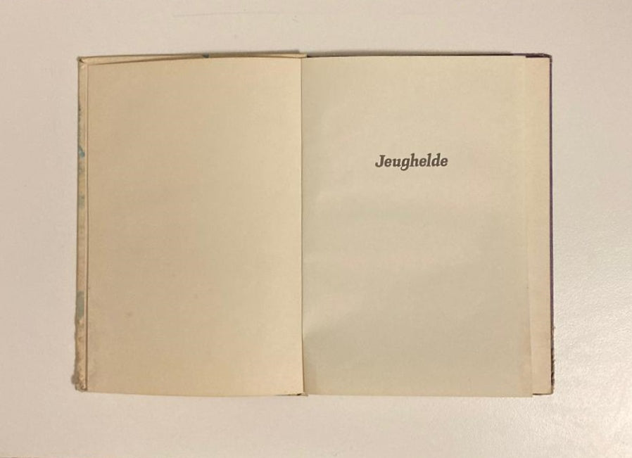 Jeughelde - P.J. van der Watt