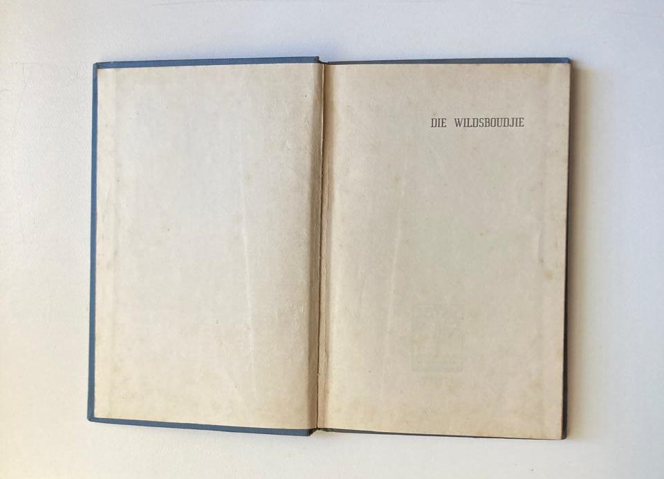 Die wildsboudjie - Fritz Steyn