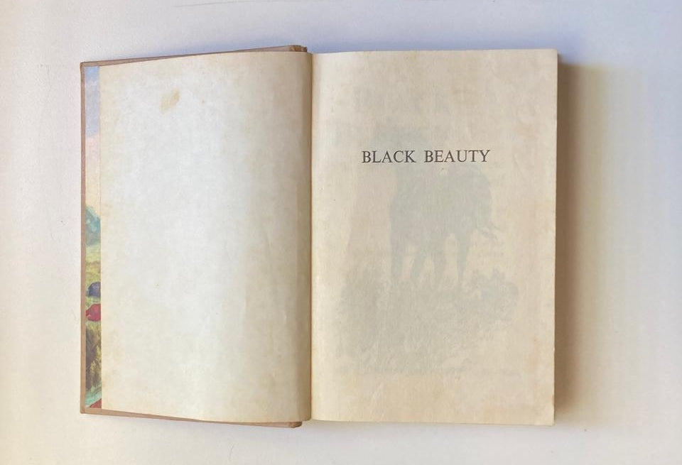 Black beauty - Anna Sewell (The Children's Classics)
