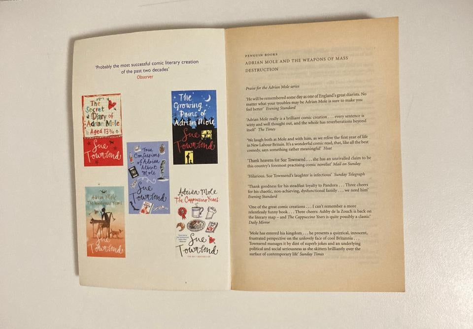 Adrian Mole and the weapons of mass destruction - Sue Townsend (Adrian Mole #6)
