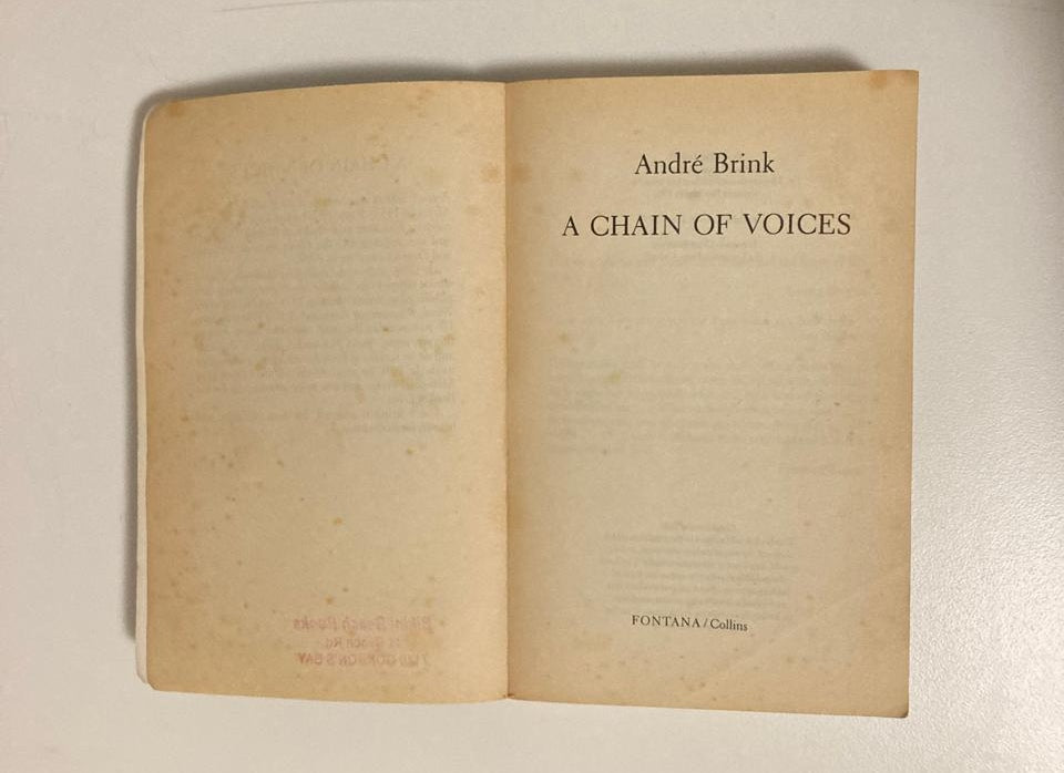A chain of voices - André Brink