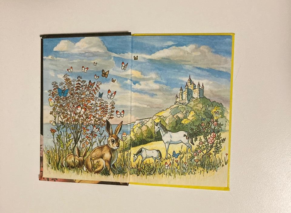 Sleeping Beauty (Ladybird Read it Yourself)