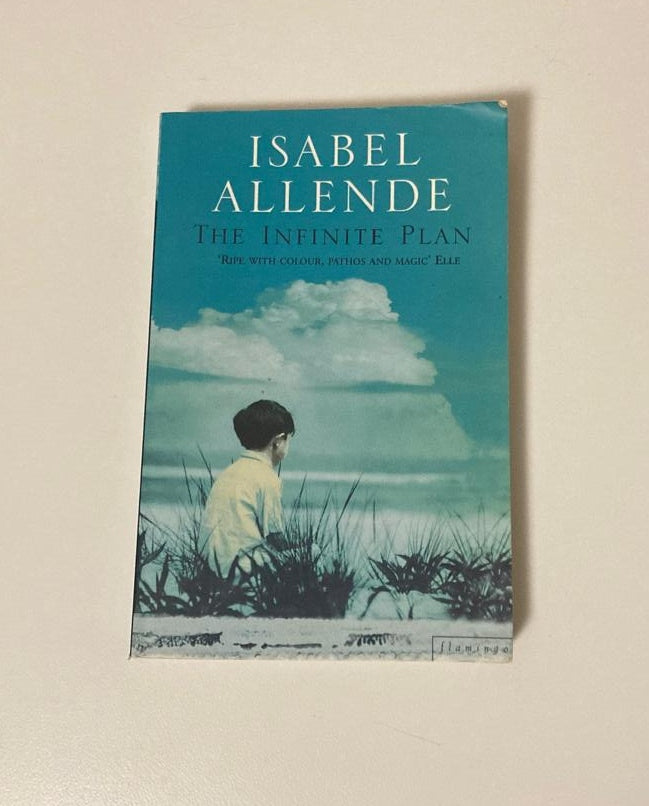 The infinite plan - Isabel Allende
