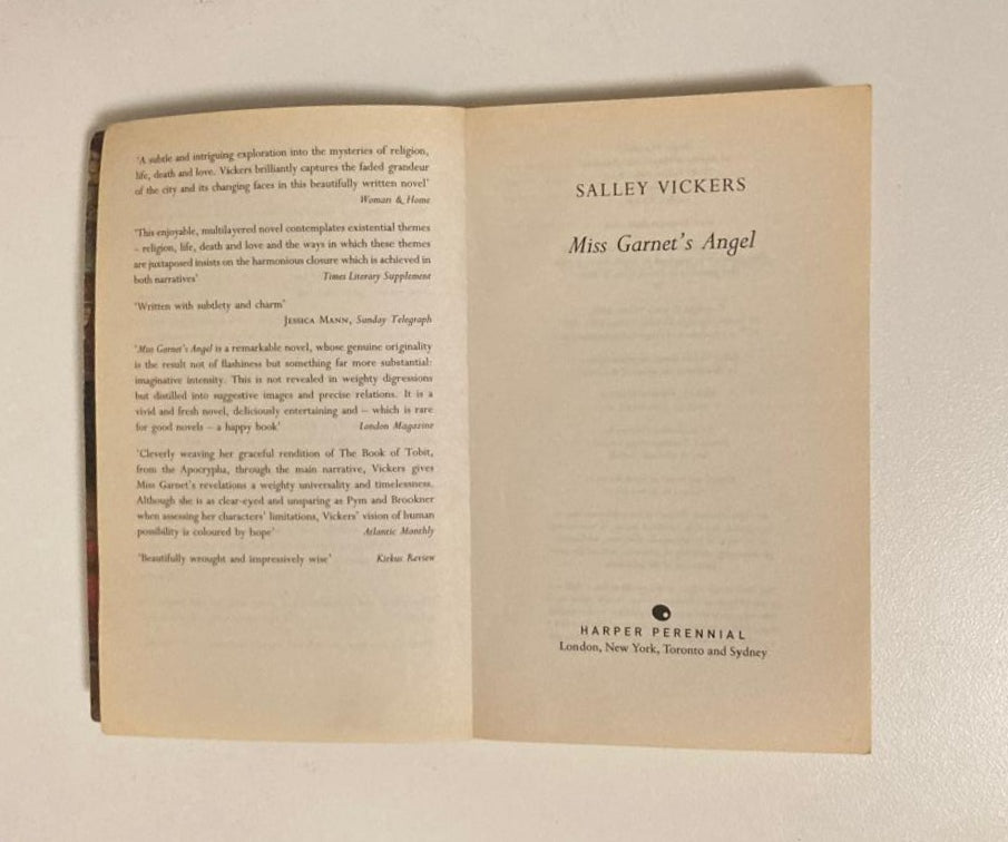 Miss Garnet's angel - Salley Vickers