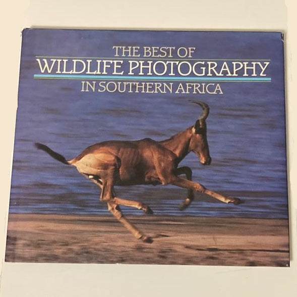 The best of wildlife photography in Southern Africa
