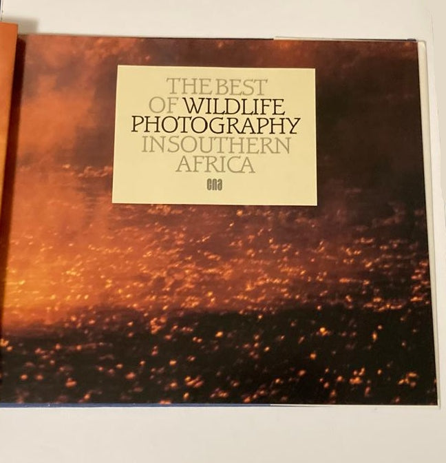 The best of wildlife photography in Southern Africa