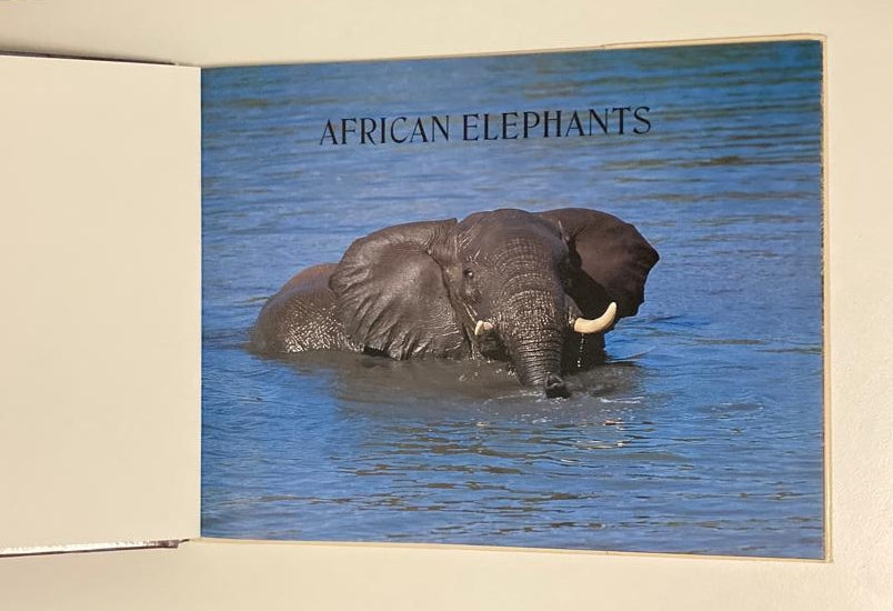 African elephants: A photographic celebration - Nigel Dennis (Photographer) and Clive Walker (Text)