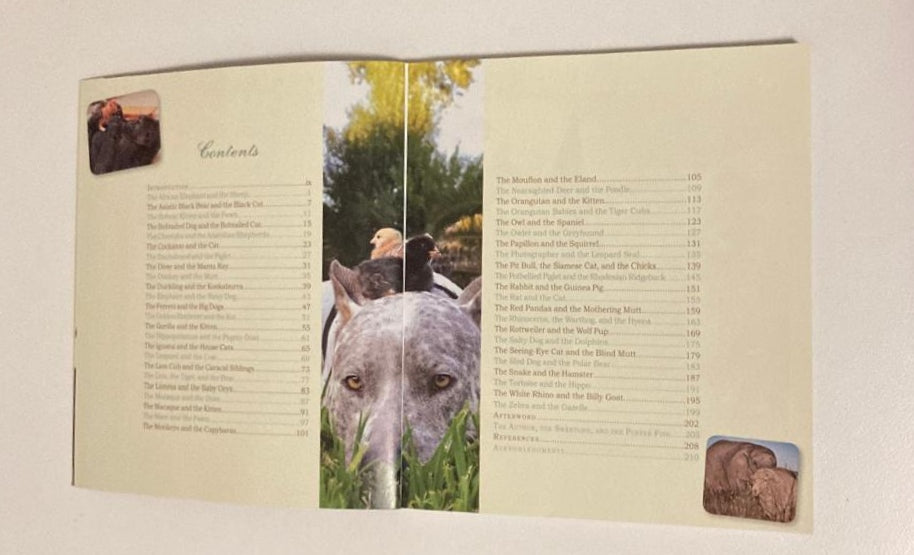 Unlikely friendships: 47 remarkable stories from the animal kingdom - Jennifer S. Holland