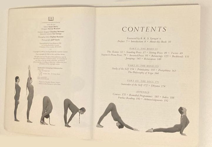 Yoga: The Iyengar way - Mira Silva & Mehta Shyam