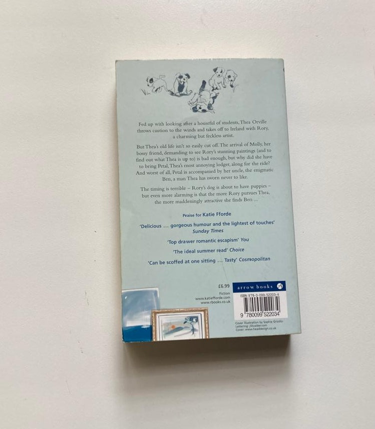 Artistic license - Katie Fforde