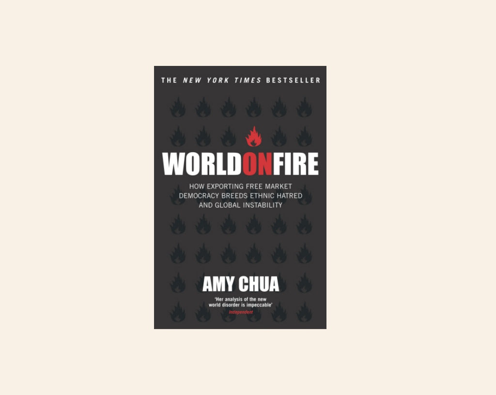 World on fire: How exporting free market democracy breeds ethnic hatred and global instability - Amy Chua