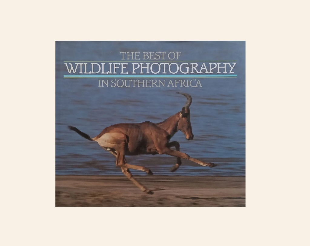 The best of wildlife photography in Southern Africa