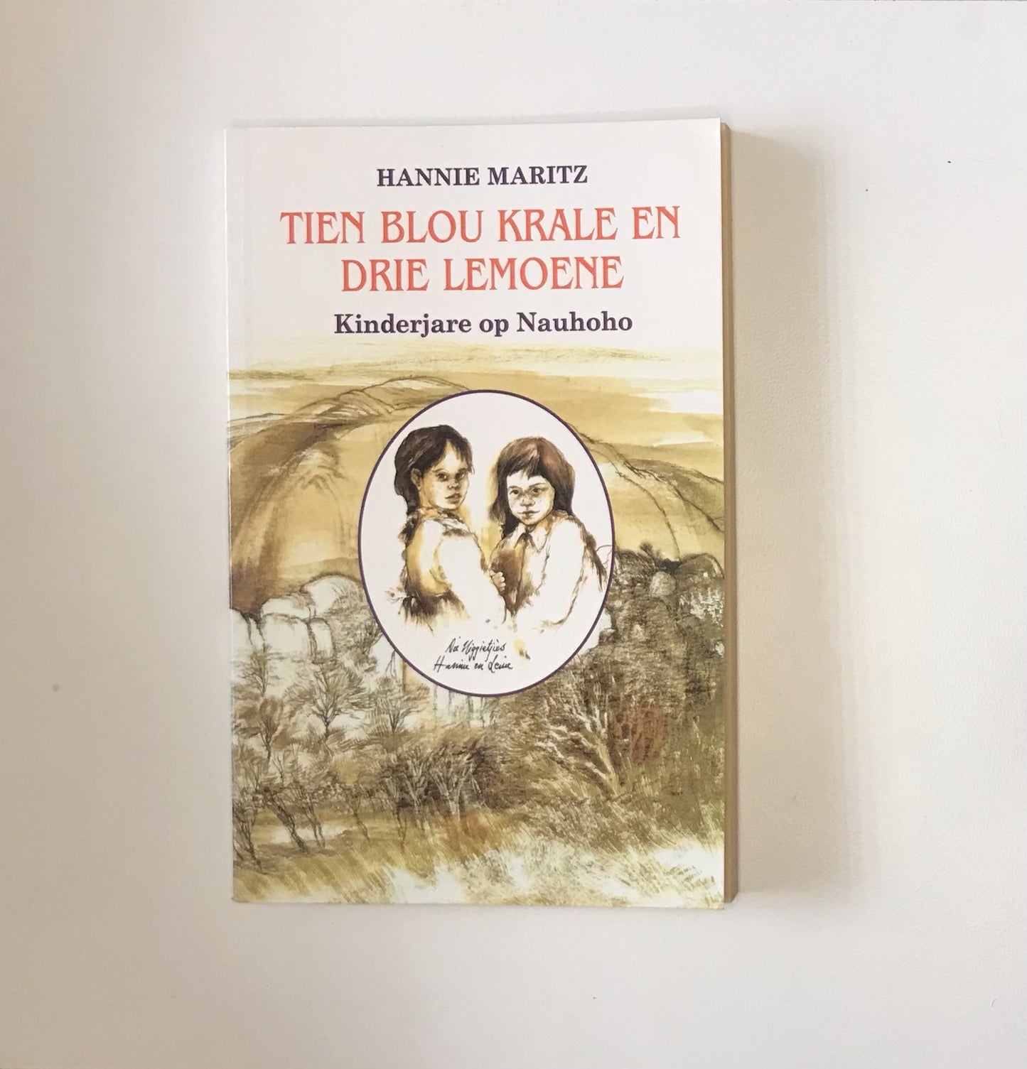 Tien blou krale en drie lemoene - Hannie Maritz