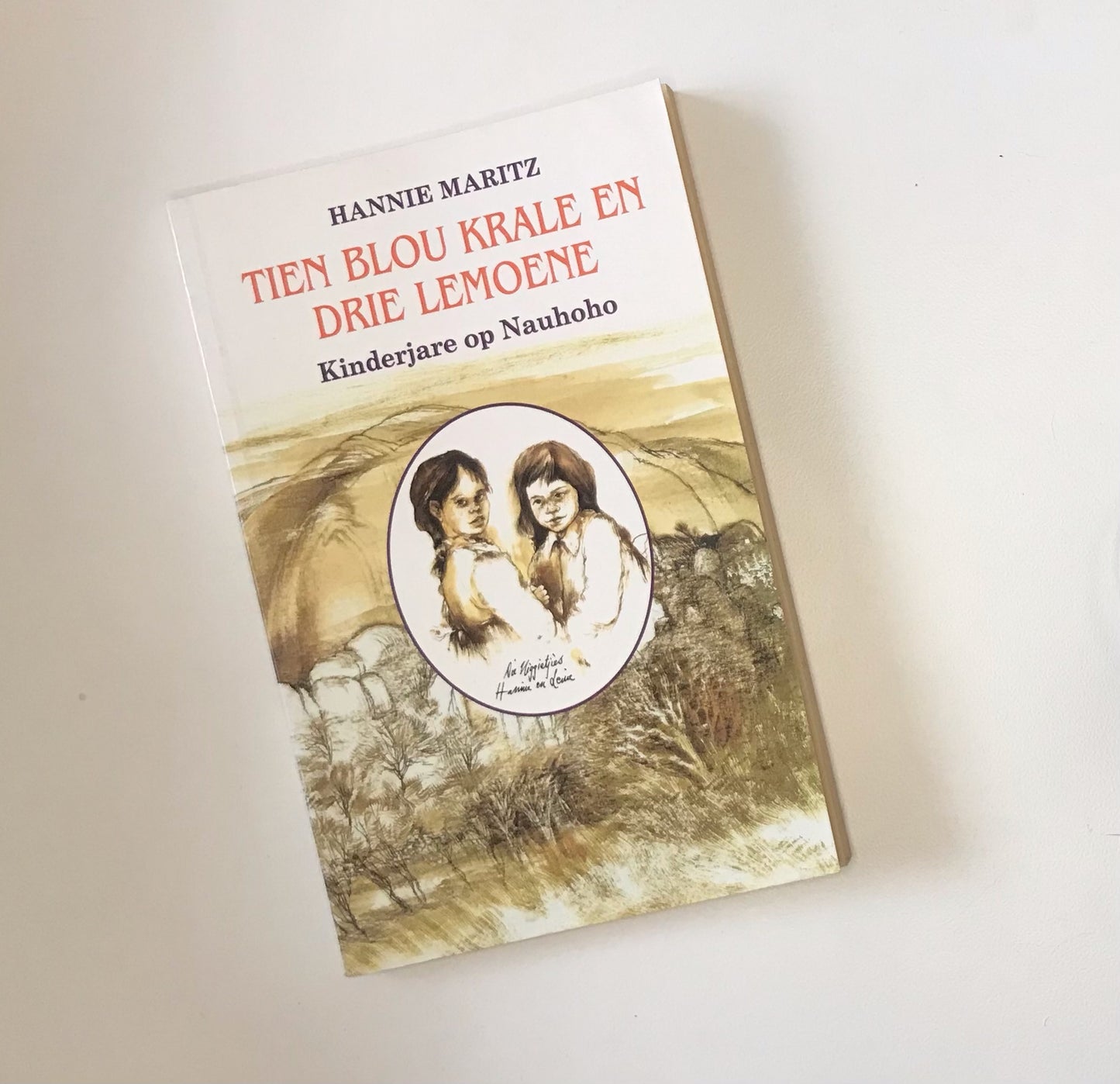 Tien blou krale en drie lemoene - Hannie Maritz