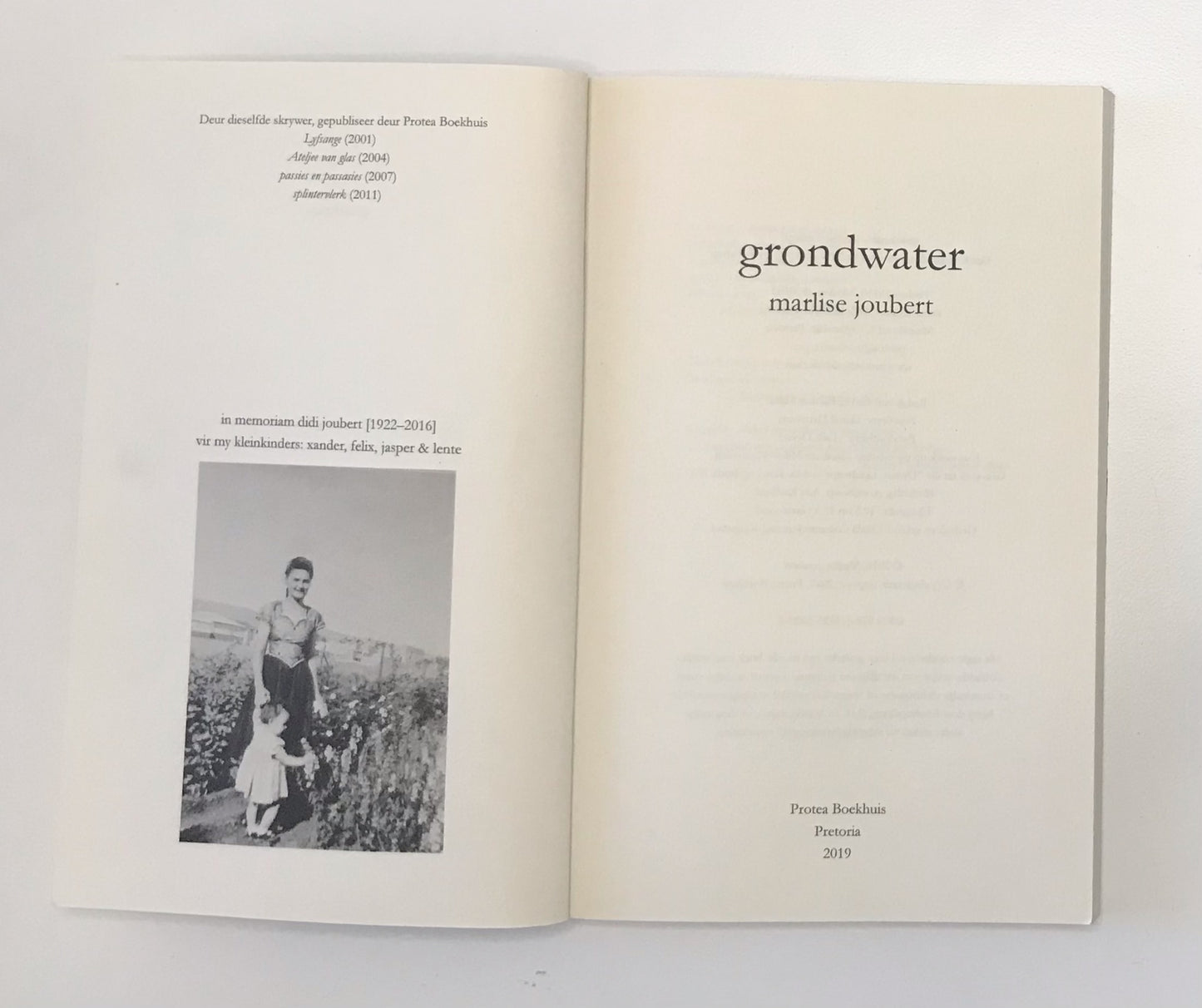 Grondwater - Marlise Joubert