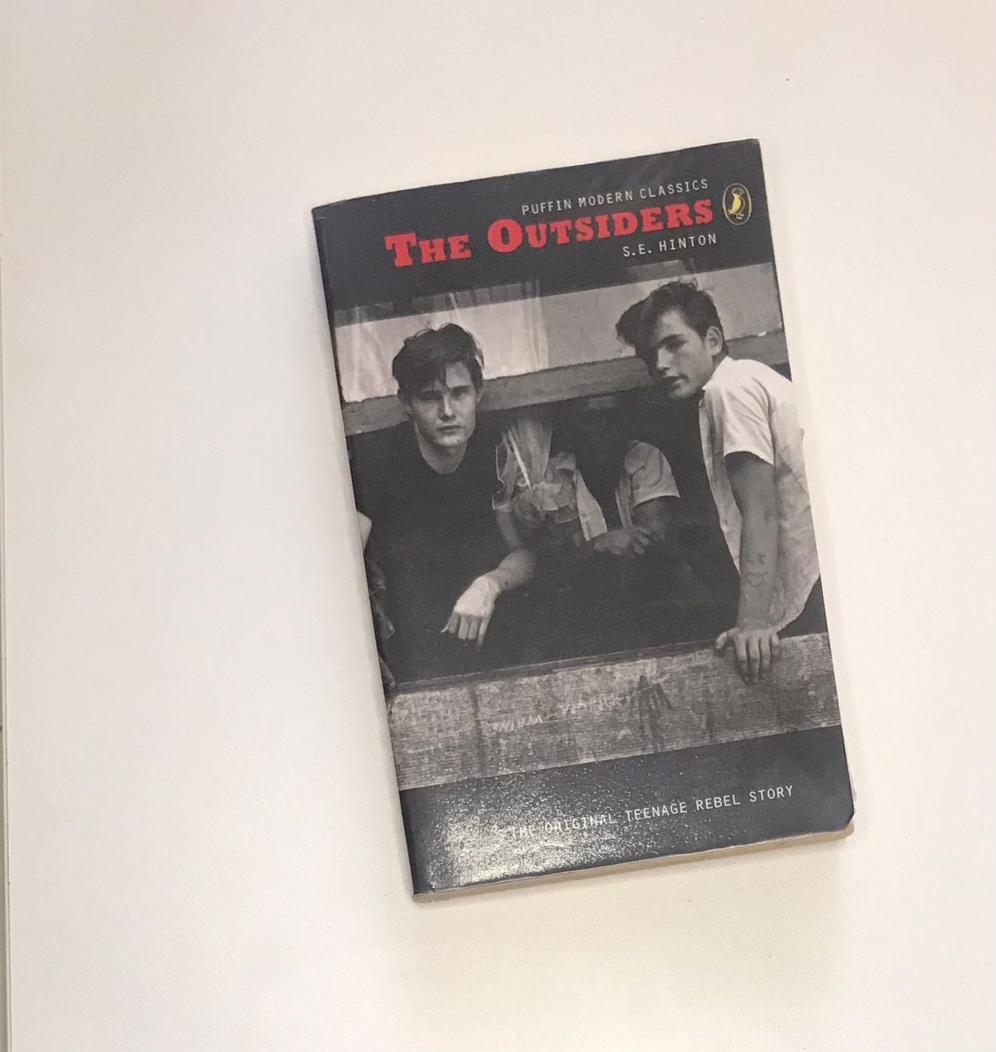 The outsiders - S.E. Hinton