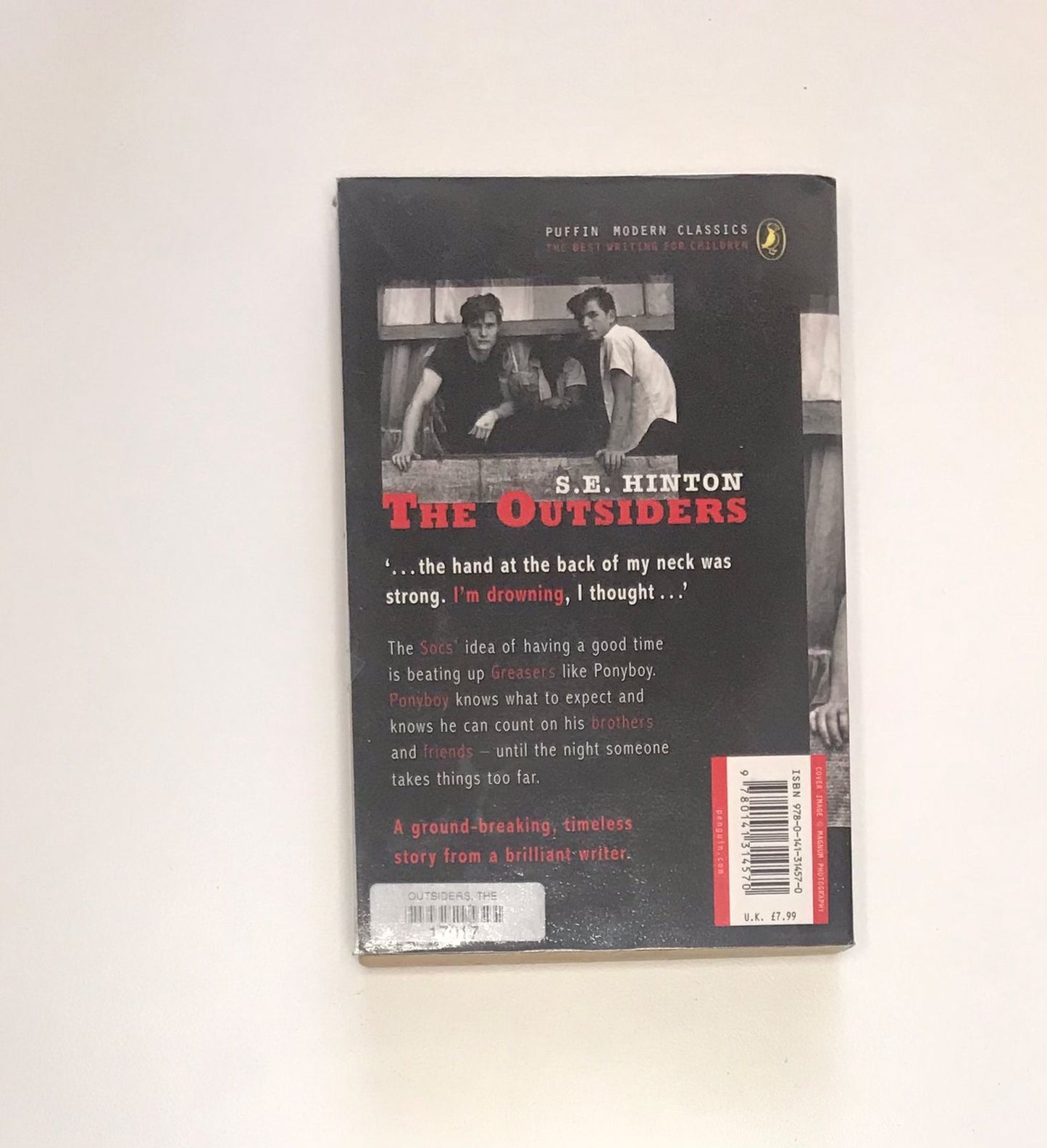 The outsiders - S.E. Hinton