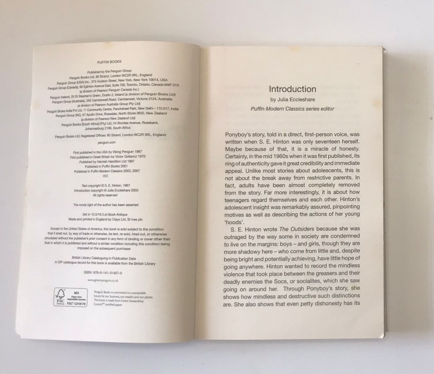 The outsiders - S.E. Hinton