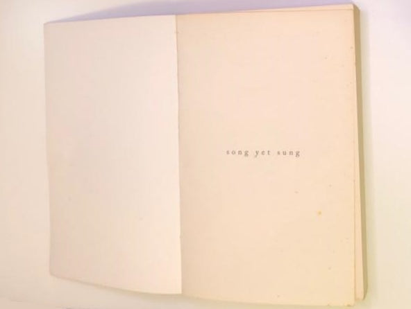 Song yet sung - James McBride