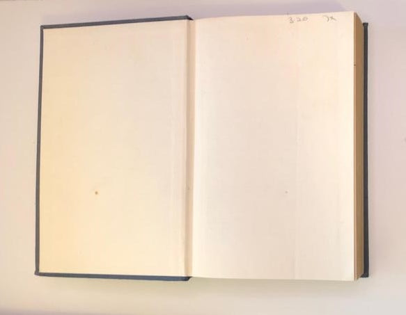 The prize - Irving Wallace