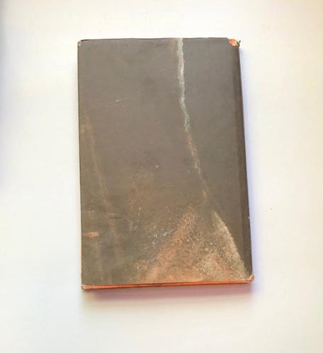 Sewe dae by die Silbersteins - Etienne Leroux