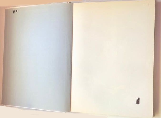 The bride's book - Drusilla Beyfus