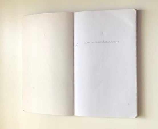Lien se lankstaanskoene - Derick van der Walt