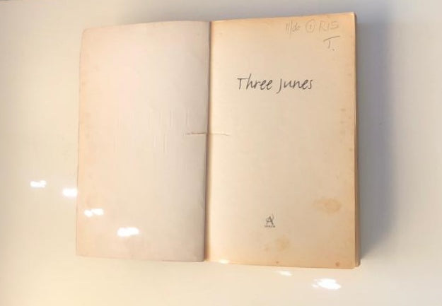 Three Junes - Julia Glass