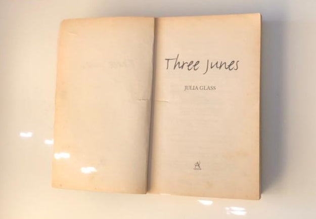 Three Junes - Julia Glass