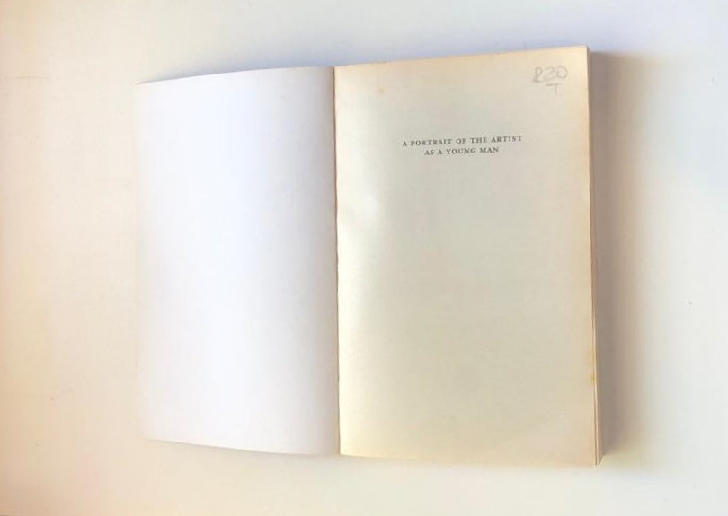 A portrait of the artist as a young man - James Joyce