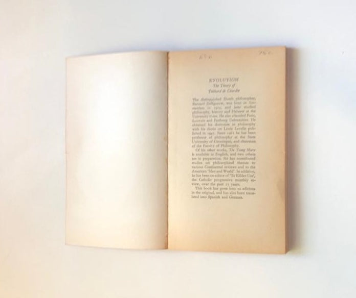 Evolution: The theory of Teilhard de Chardin - Bernard Delfgaauw