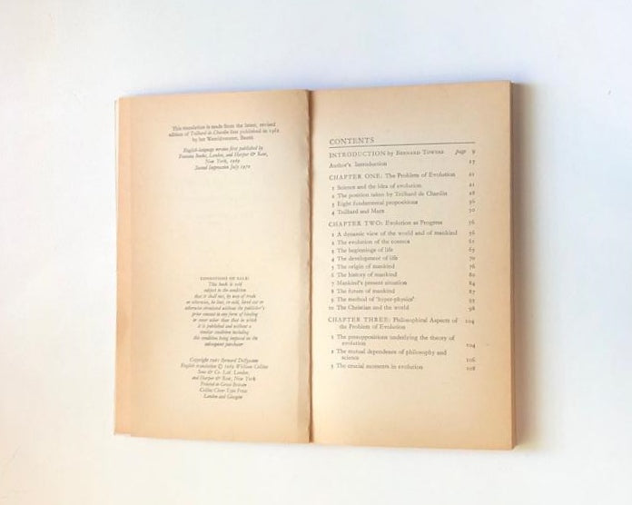 Evolution: The theory of Teilhard de Chardin - Bernard Delfgaauw