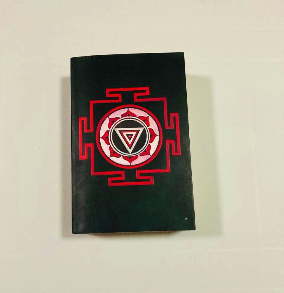 The mountain shadow - Gregory David Roberts